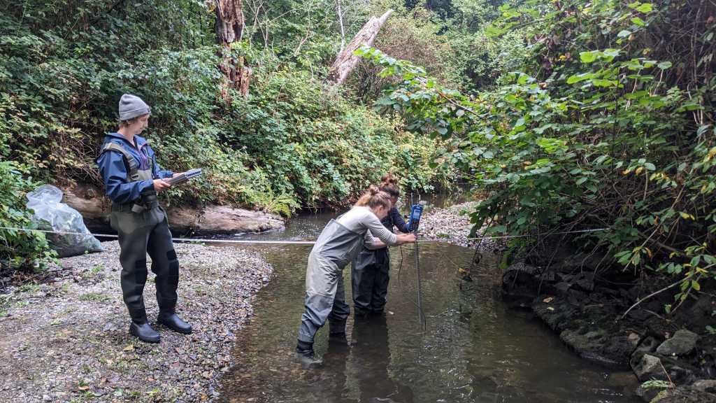 Stream researchers determine flow rate at a Stream site